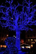Синяя гирлянда на дереве